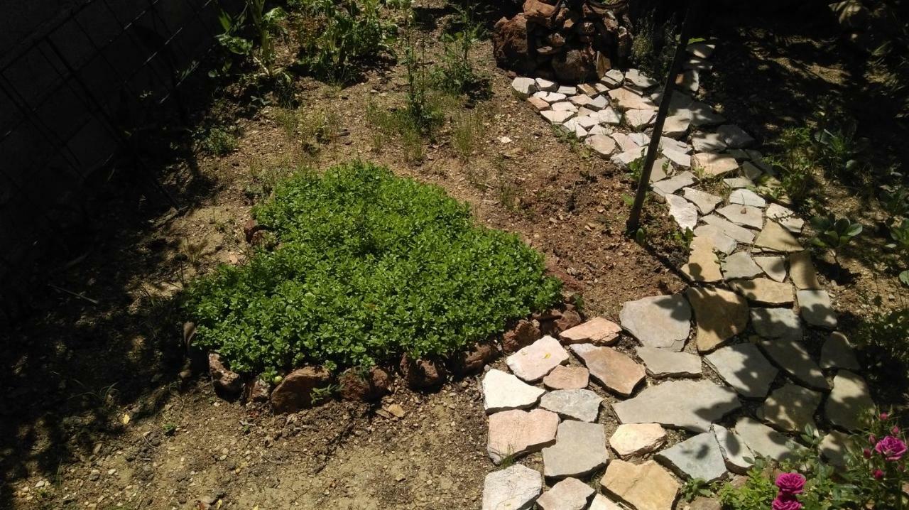 Apartman Restovic Bol Luaran gambar