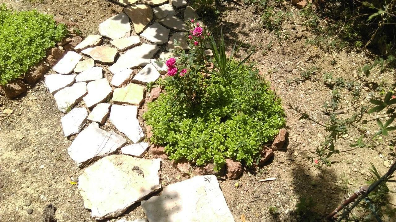 Apartman Restovic Bol Luaran gambar